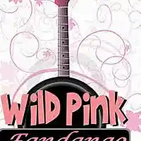 Picture for song 'Wild Pink Fandango ((Stereo))' by artist 'Johanna Renfro'