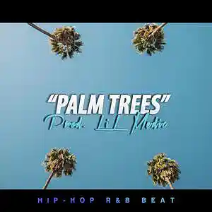 Picture for song ''Palm Trees' // TYGA TYPE, WEST COAST BEAT' by artist 'LiL Medic Beats'