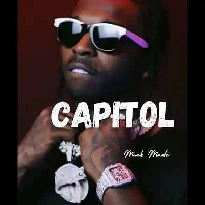 Picture for song 'Capitol' by artist 'MinkMade'