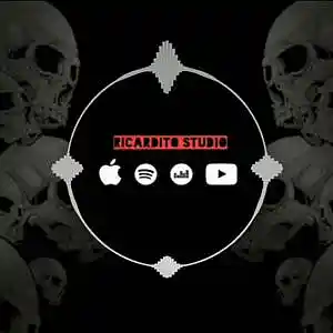 Picture for song 'Drama' by artist 'Ricardito Studio'