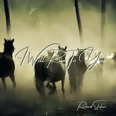 Picture for song 'I Will Run To You' by artist 'Richard Shekari'
