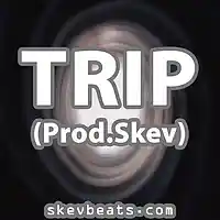 Picture for song 'R&B Trap Beat - TRIP (ProdSkev)' by artist 'Skev Beats'