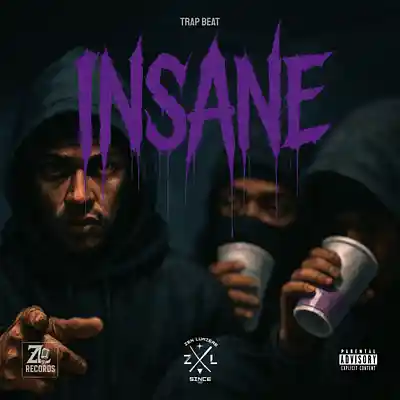 Picture for song 'INSANE (Trap Beat)' by artist 'Zen Lumiere'