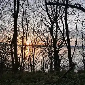 Picture for song '20240401_150613sf' by artist '786 scheint-Al'lahs Bande'