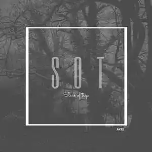 Picture for song 'S.O.T' by artist 'AkeeBeats'