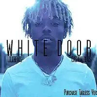 Picture for song 'WhiteDoor' by artist 'Cashualbeats'