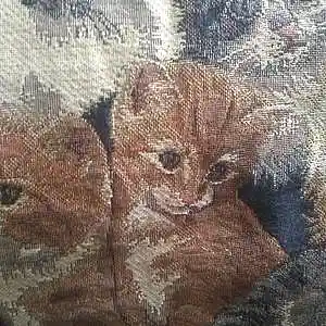 Picture for song 'kittys spacewalk' by artist 'Clivey Macdougall'