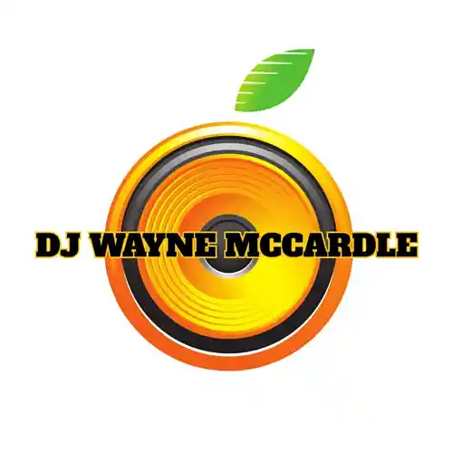 Picture for song '515 SAY WHAT' by artist 'DJ Wayne McCardle'