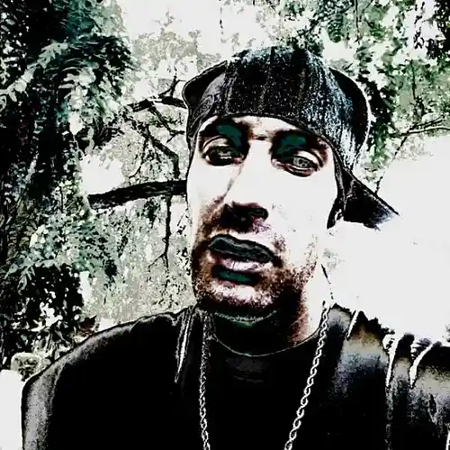 Picture for song 'DTP - Ragz2Riches' by artist 'D-LO VERSATILE'