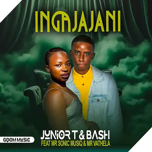 Picture for song 'Ingajajani' by artist 'Junior T And Bash'
