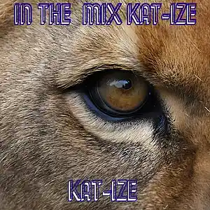 Picture for song 'In The Mix KAT-IZE' by artist 'KATIZE2'