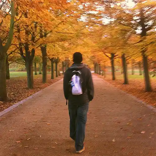 cover pic