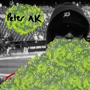 cover pic