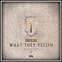 Picture for song 'Biggs ft. Stalley - What They Yellin'' by artist 'pablo beats'