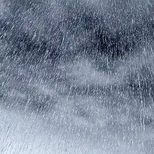 Picture for song 'Rain' by artist 'Toad'