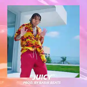 Picture for song 'Juicy' by artist 'Babik Beats'