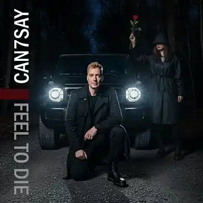 Picture for song 'Feel to Die' by artist 'can7say'