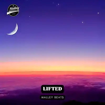 Picture for song 'LIFTED (COUNTRY RAP TYPE BEATS)' by artist 'Malley Beats'