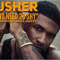 Picture for song 'No Need 2B Shy (USHER) produced by @mike.sneezzy' by artist 'mikesneezzy'