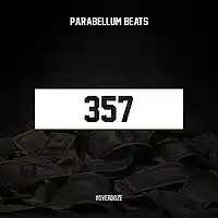 Picture for song '357' by artist 'Parabellum Beats'