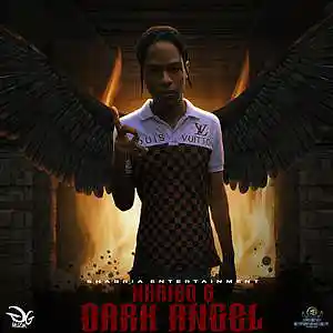 Picture for song 'narieo g - dark angels' by artist 'Shabria entertainment record label'