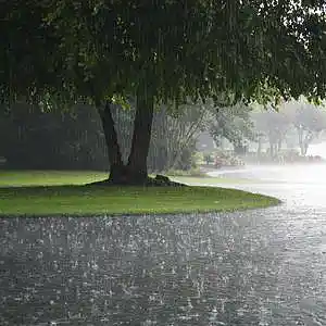 Picture for song 'Don Toliver Type Beat - Rainy Day 160 bpm' by artist 'WHAT?BOYBEATS'