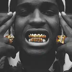 Picture for song 'Wild For The Night (ASAP Rocky Type Beat)' by artist 'YOUNG GOTTI BEATS'