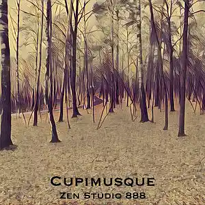 Picture for song 'Cupimusque' by artist 'Zen Studio 888'