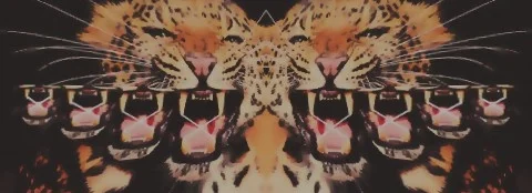 cover pic