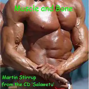 Picture for song 'S 03 muscle and bone' by artist 'martin stirrup'