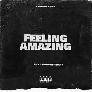 Picture for song 'FEELING AMAZING[PROD.PICCASPTHEVISIONARY]' by artist 'piccasothevisionary'