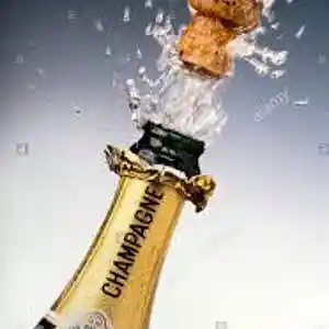 Picture for song 'Poppin' Bottles' by artist 'RoRo Beats'