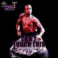 Picture for song 'Can't Touch This' by artist 'Royal T Beatz (Team RTP)'