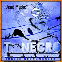 Picture for song 'Dead Music' by artist 'Turtle Necromancer'