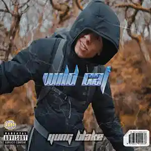 Picture for song 'Central Cee Type Beat - WILD CAT' by artist 'Yung Blake'