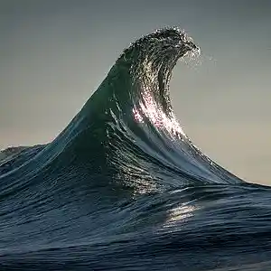 Picture for song 'Rips' by artist 'Black Chalk'