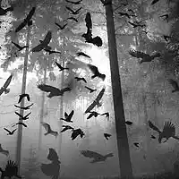 Picture for song '*SOLD* Dark Before Dawn (SOLD)' by artist 'Dope Orchestra'