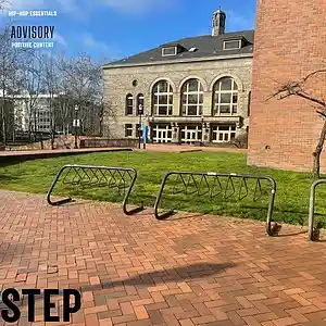 Picture for song 'Step' by artist 'jacob fridley'