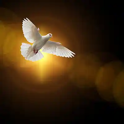 Picture for song 'The Most Important Thing' by artist 'Lift Him Up Songs'