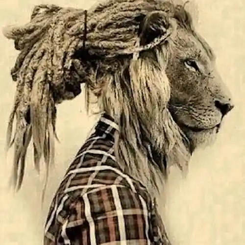Artist picture