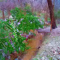 Picture for song 'Moreso Morose' by artist 'nedped'