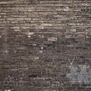 Picture for song 'Bones' by artist 'ZERuvc'