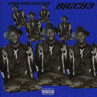 Picture for song 'Diamond on my neck.m4a' by artist 'BIGCB3'