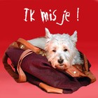 Picture for song 'Big Switch ft. Quinc - Zonder Jou' by artist '030BigSwitch'