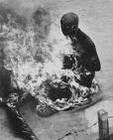 Picture for song 'burn_as_sacrifice' by artist '1nna sense'