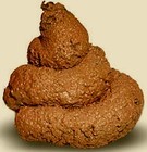 Picture for song 'Everybody Poops' by artist '902PAYDAY'