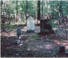 Picture for song 'No One to Talk To' by artist 'AARON'S CROSSING'