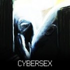 Picture for song 'Cybersex' by artist 'Accidentist'
