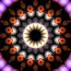 Picture for song 'Flood Of Positive Feelings' by artist 'Alexandre Falcao'