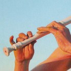 Picture for song 'fl76' by artist 'Alikas'